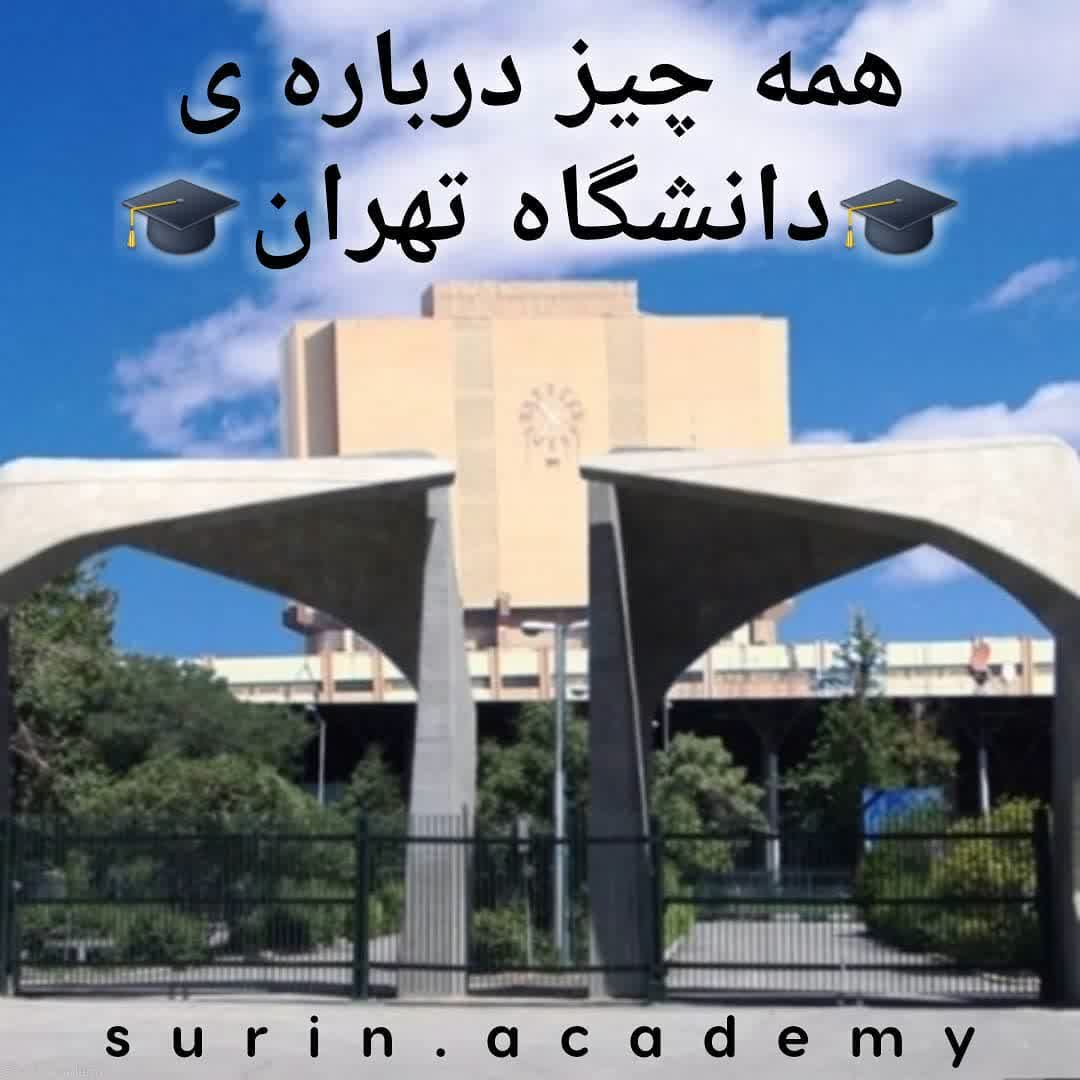 دانشگاه تهران 